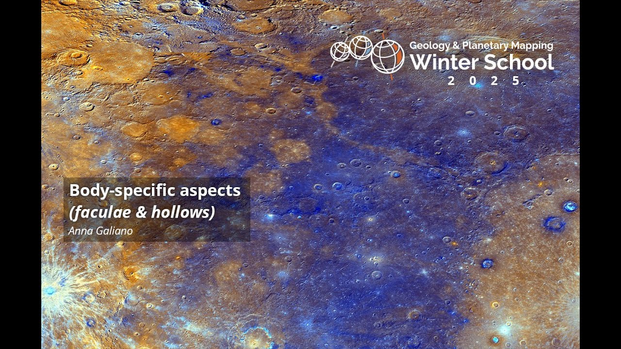 Body-specific aspects (faculae & hollows)