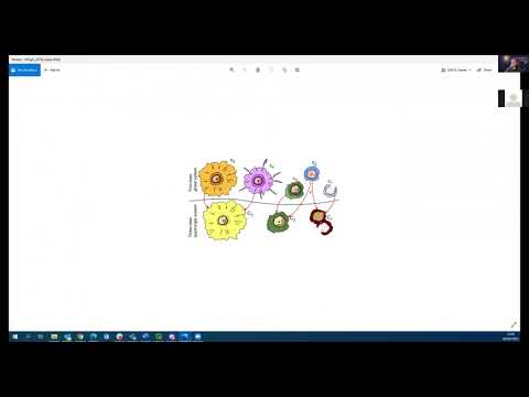 Mercury Practical Activity Group 1